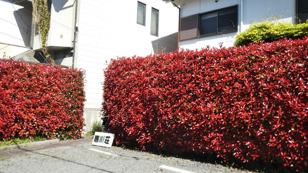 Kyoto Narutaki Keisenso Ξενοδοχείο Εξωτερικό φωτογραφία