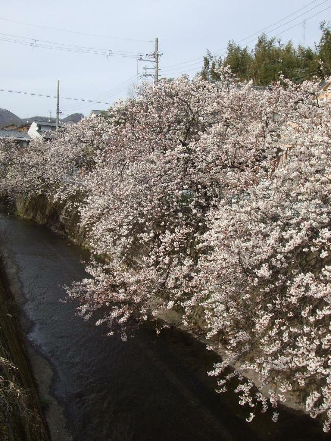 Kyoto Narutaki Keisenso Ξενοδοχείο Εξωτερικό φωτογραφία